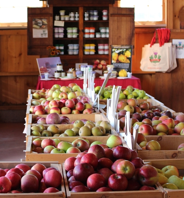 Scott Farm Orchard