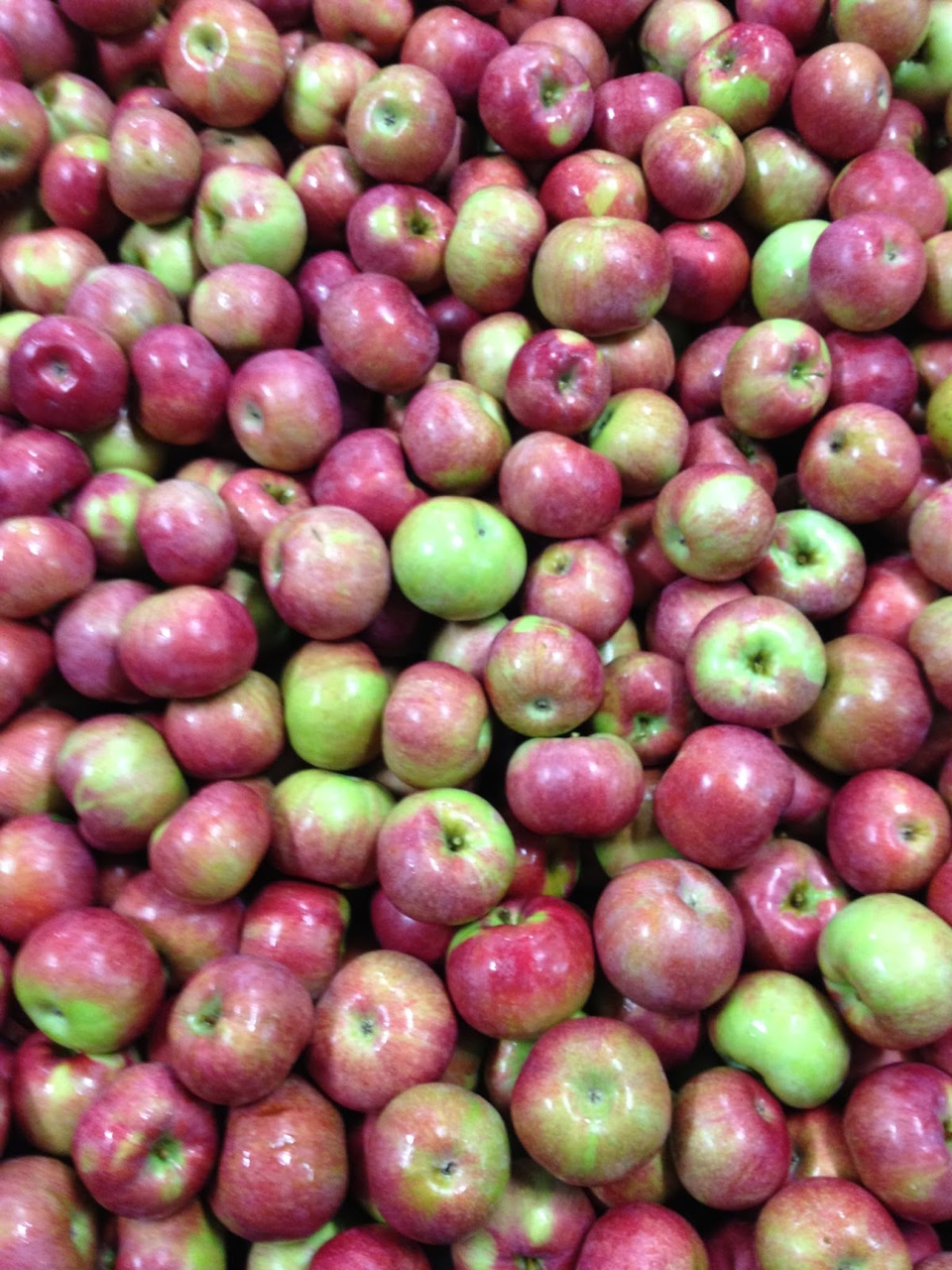 Bowman Orchards