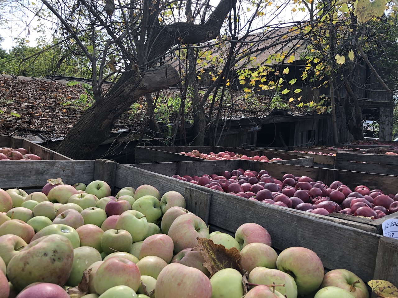 Lain's Cider Mill