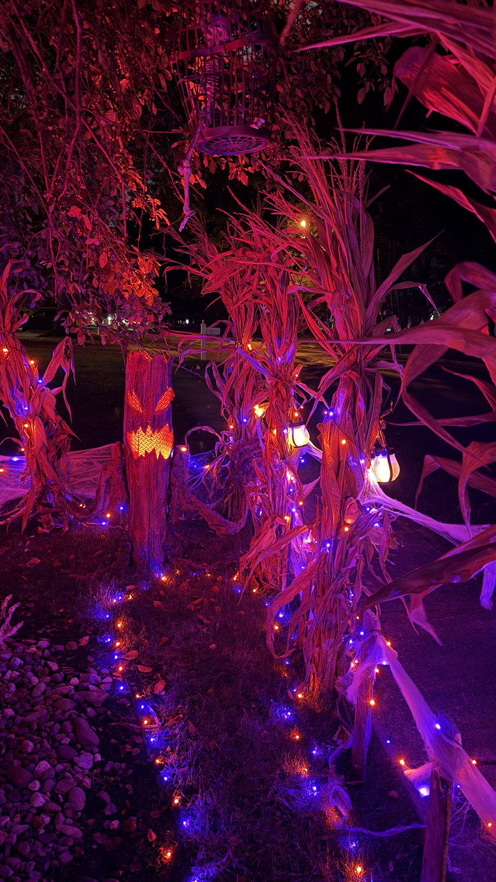Haunted Holly Oaks on South Jersey 2026 Halloween House Map