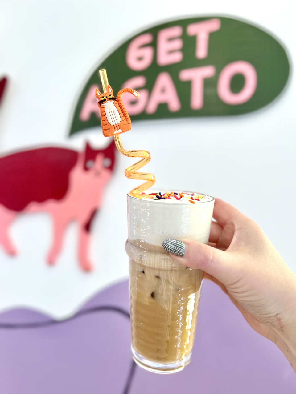 Get A Gato