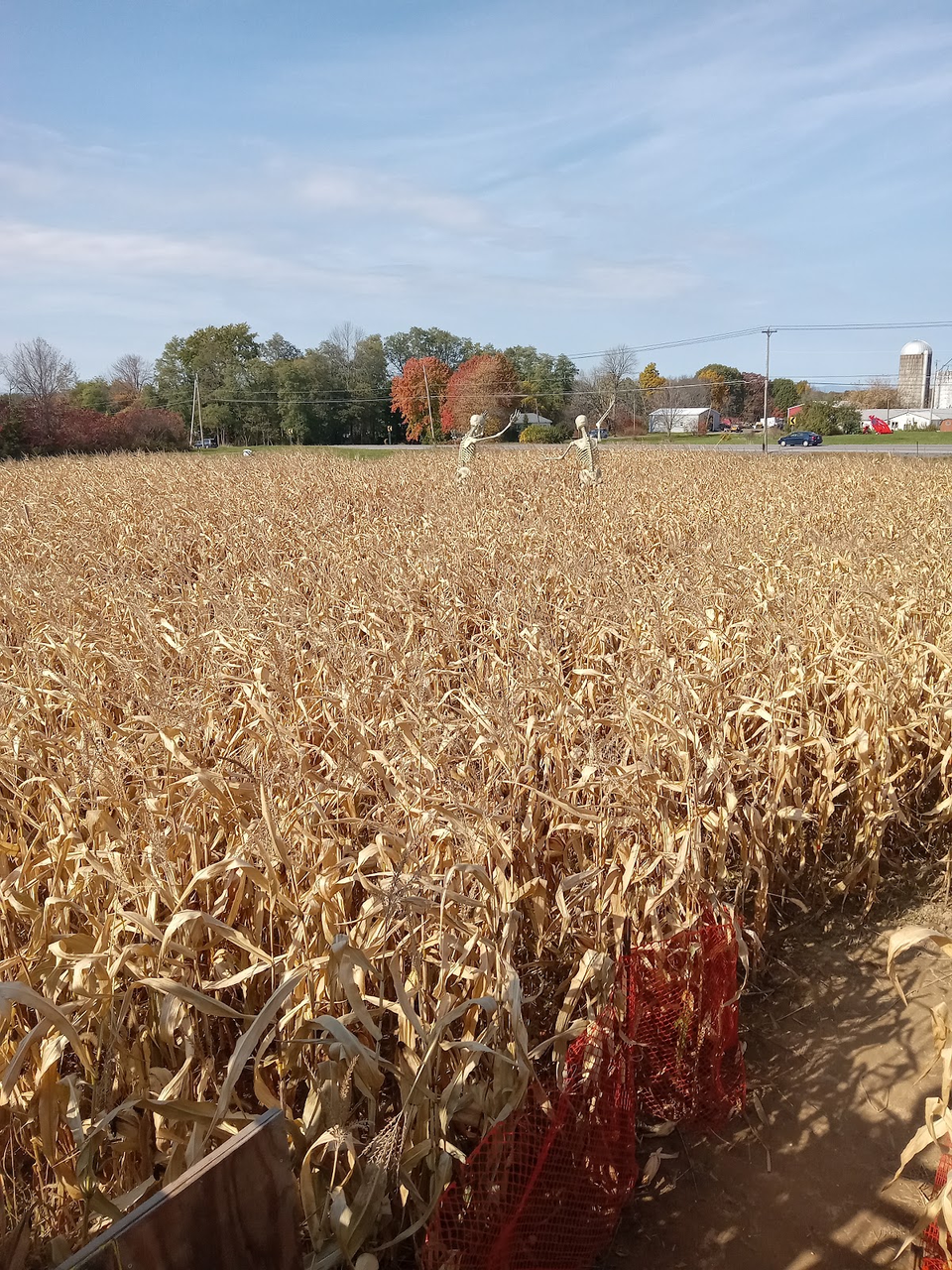 Schuyler Farms