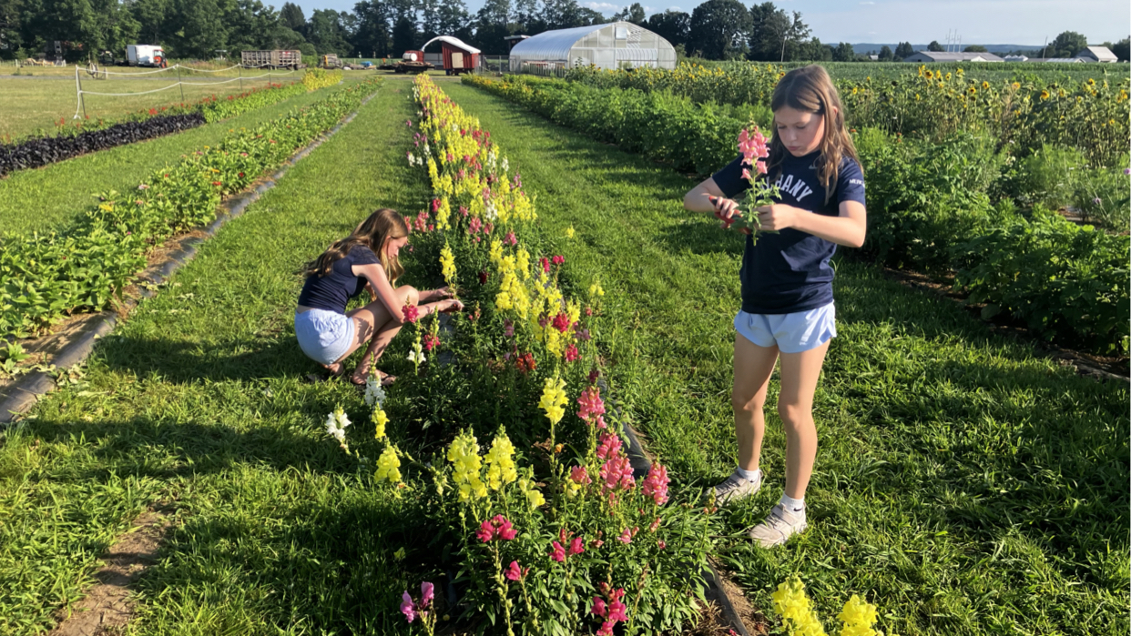 Sand Flats Orchard & Greenhouse