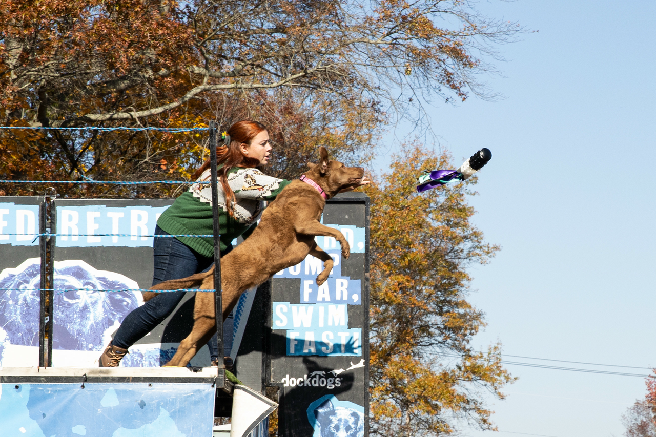Sportsman's Pavilion on 55th Annual Waterfowl Festival 