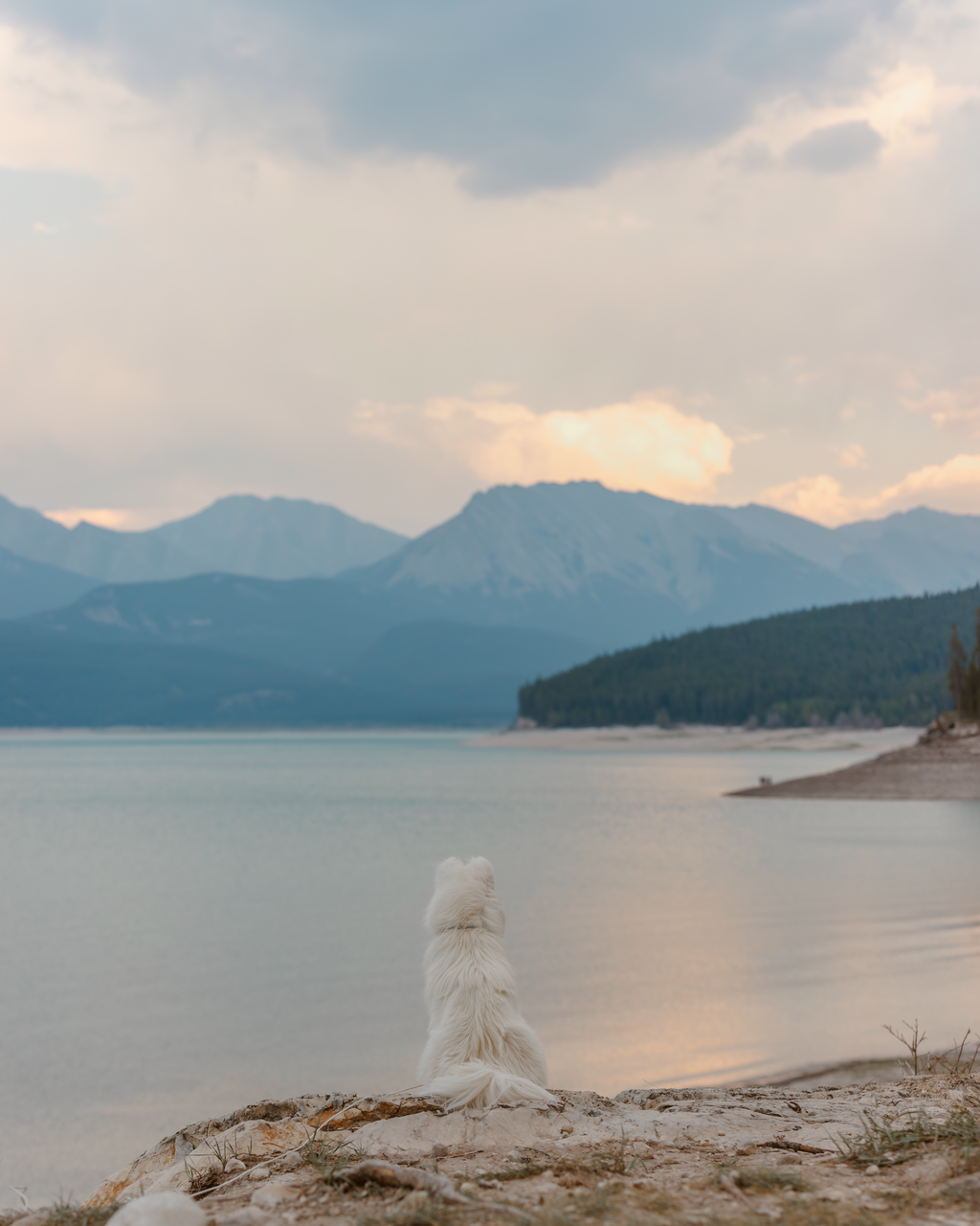 Preacher's viewpoint - Abraham Lake on Dog Friendly Life in Banff & Alberta