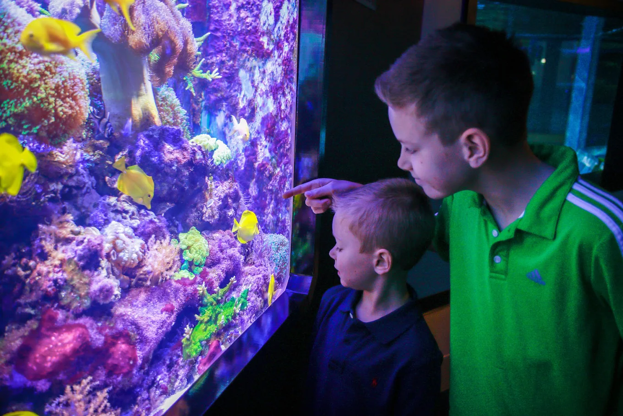 Aquarium of Niagara