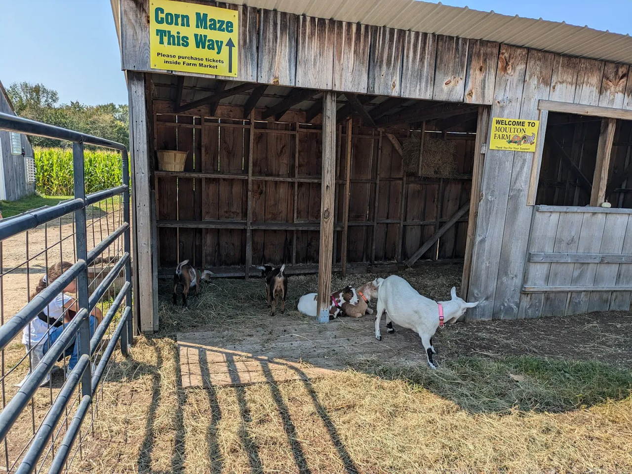 Moulton Farm