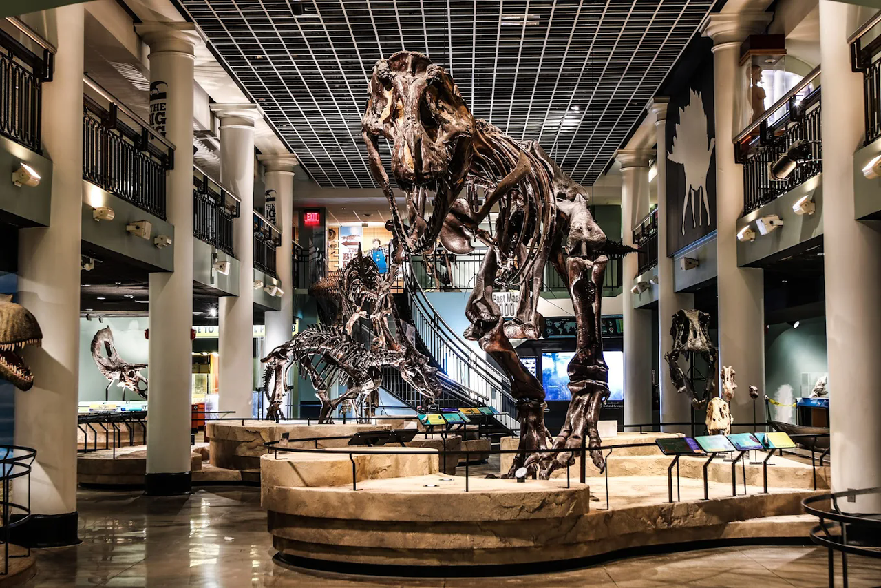 The Academy of Natural Sciences of Drexel University