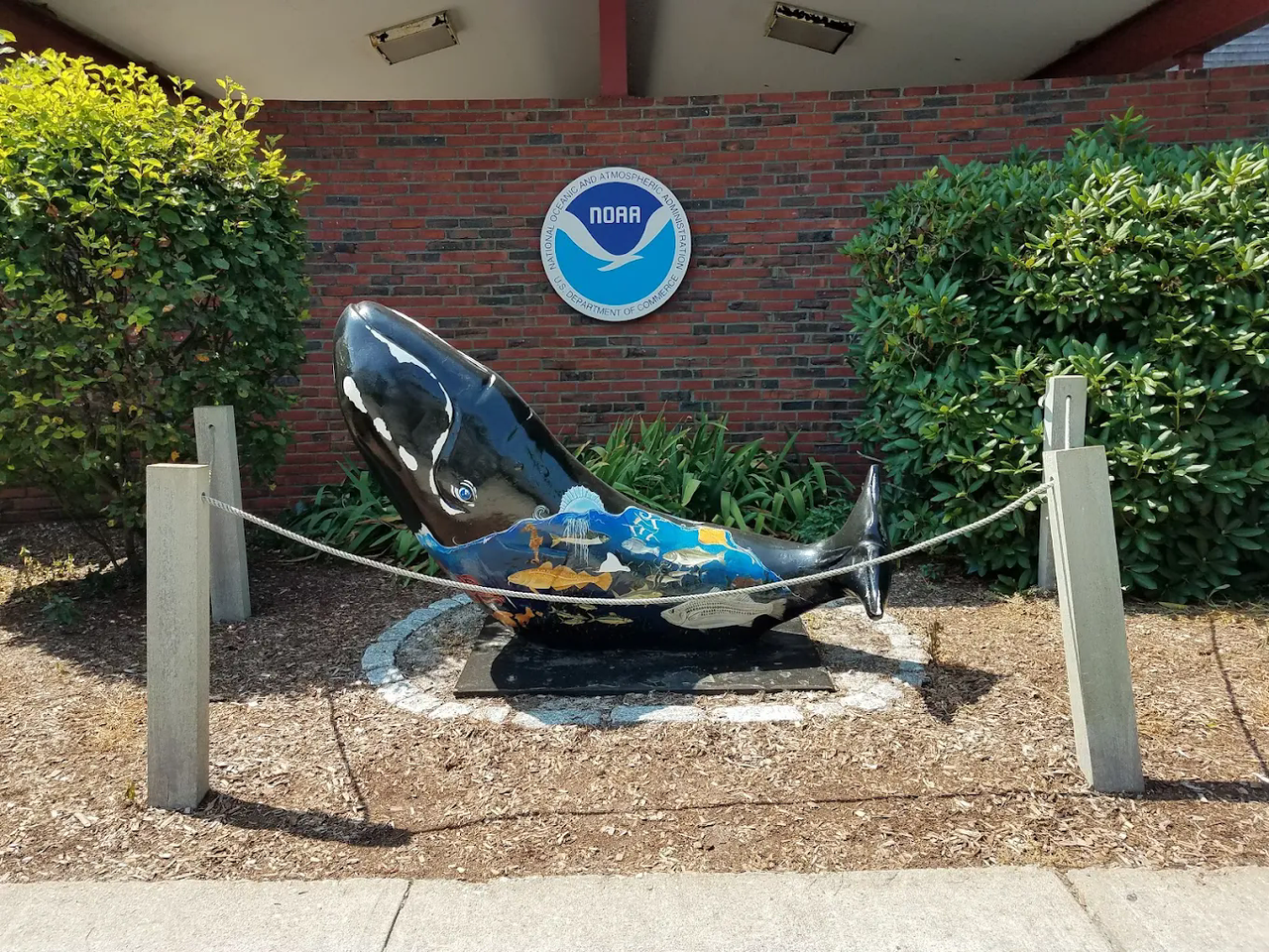 Woods Hole Science Aquarium