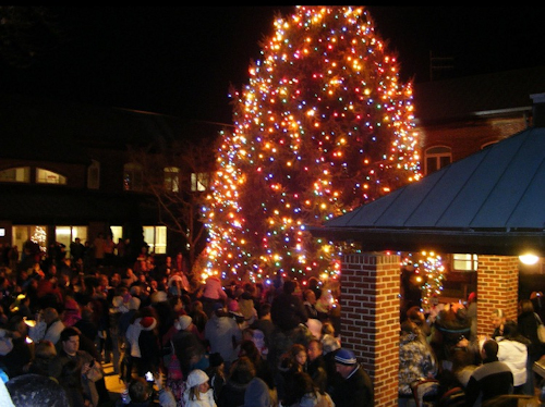 Winter Wonderland in Toms River
