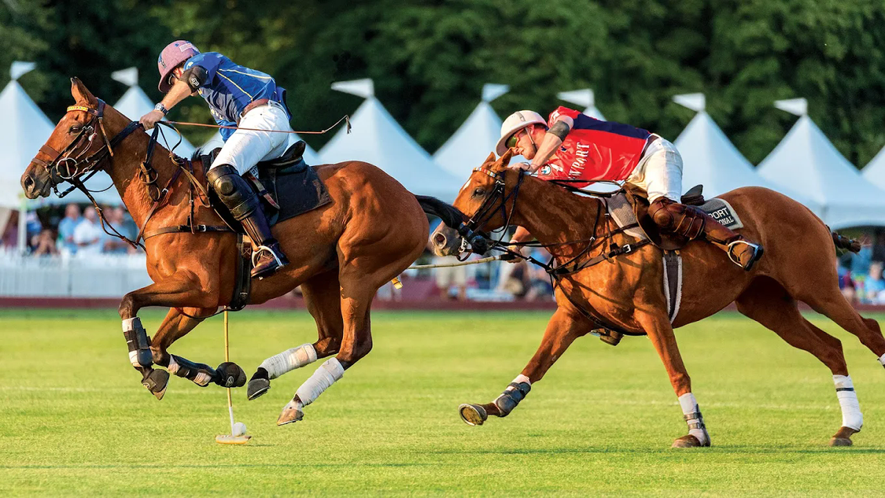 Newport Polo