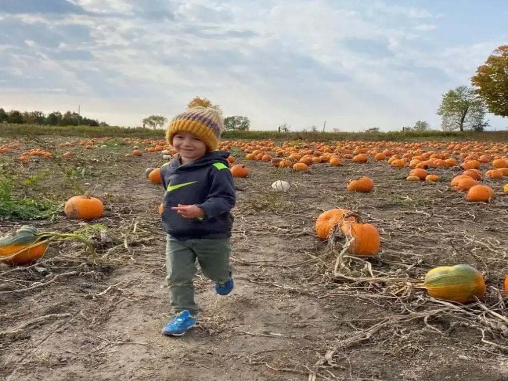 Forsythe Family Farms - Pumpkin Festival on It's a Haunted Durham Life!