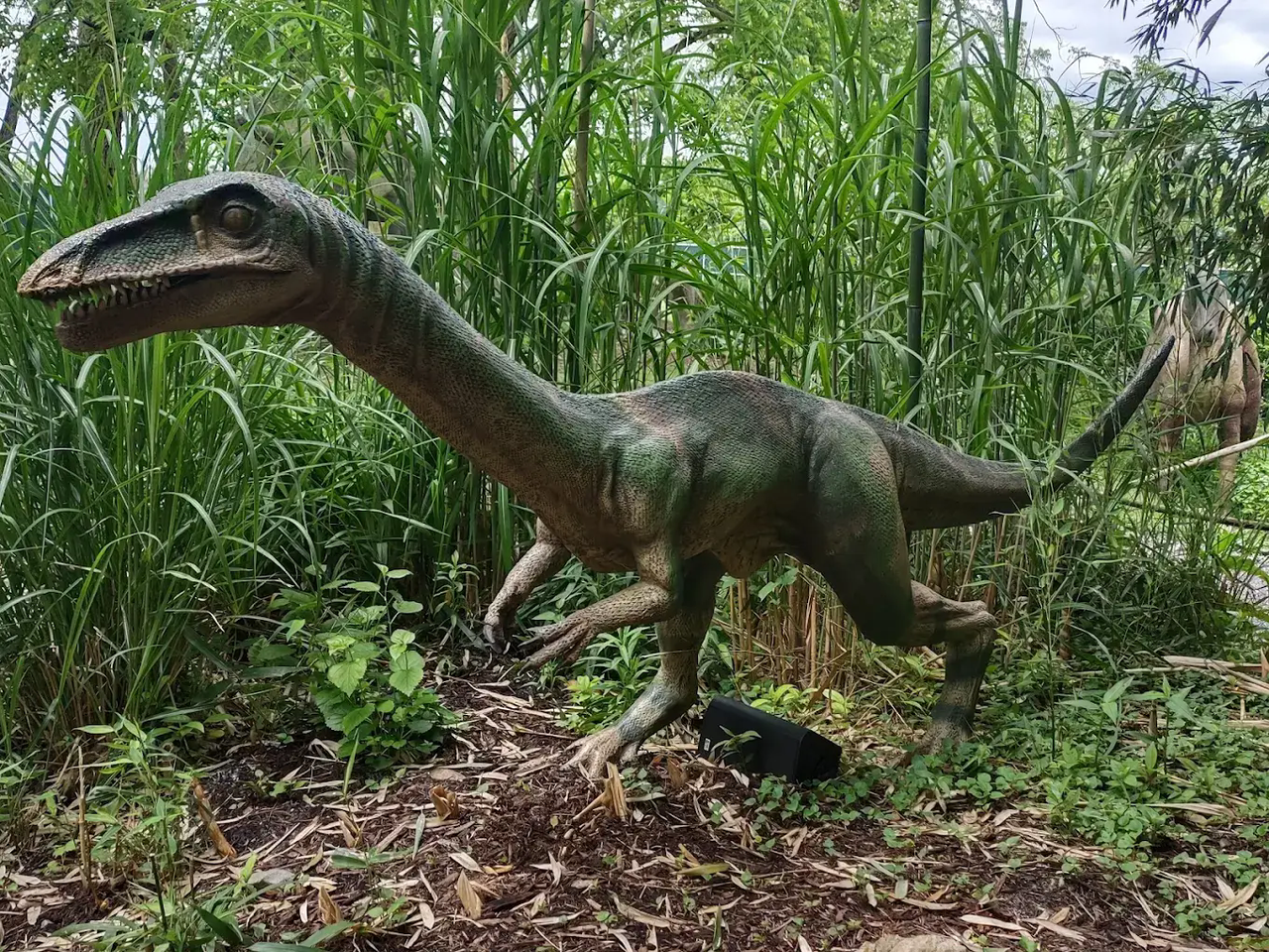 Clyde Peeling's Reptiland