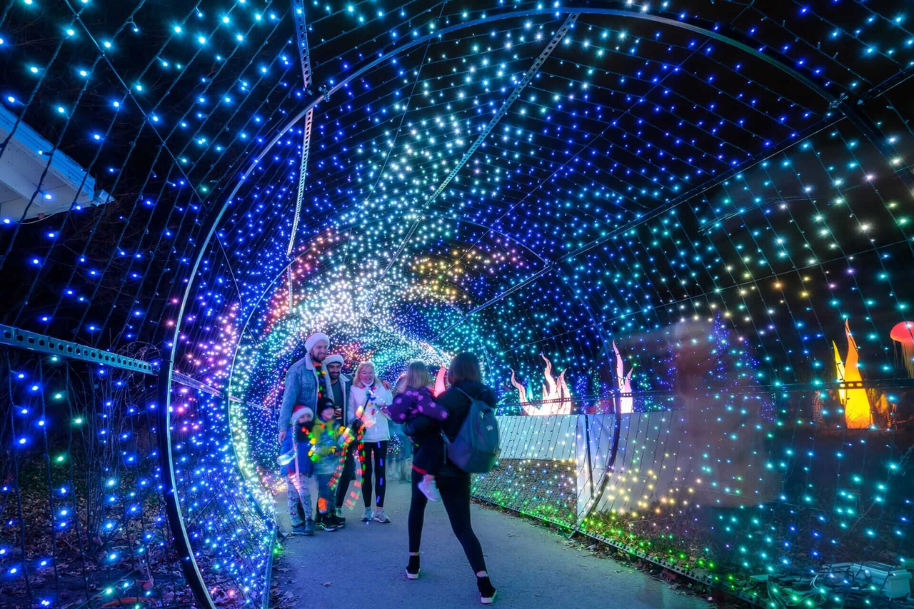 LumiNature at the Philadelphia Zoo