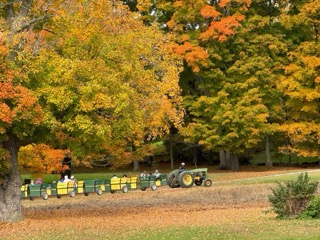 Hathaway Farm and Corn Maze