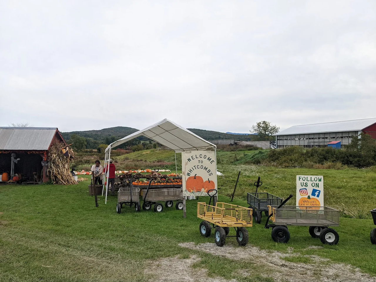 Whitcombs Land of Pumpkins