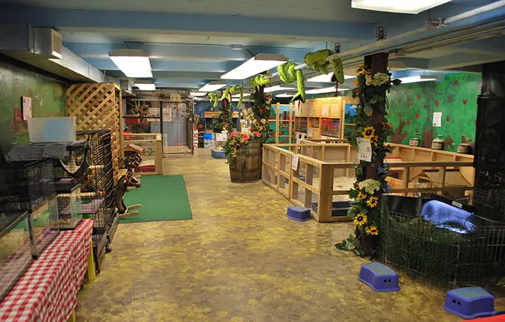 The Art Farm on NYC Sample Map