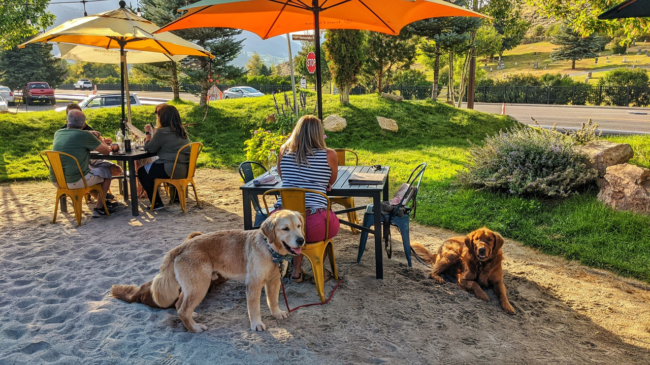 Blind Dog Restaurant & Raw Bar on Dog Friendly Salt Lake City