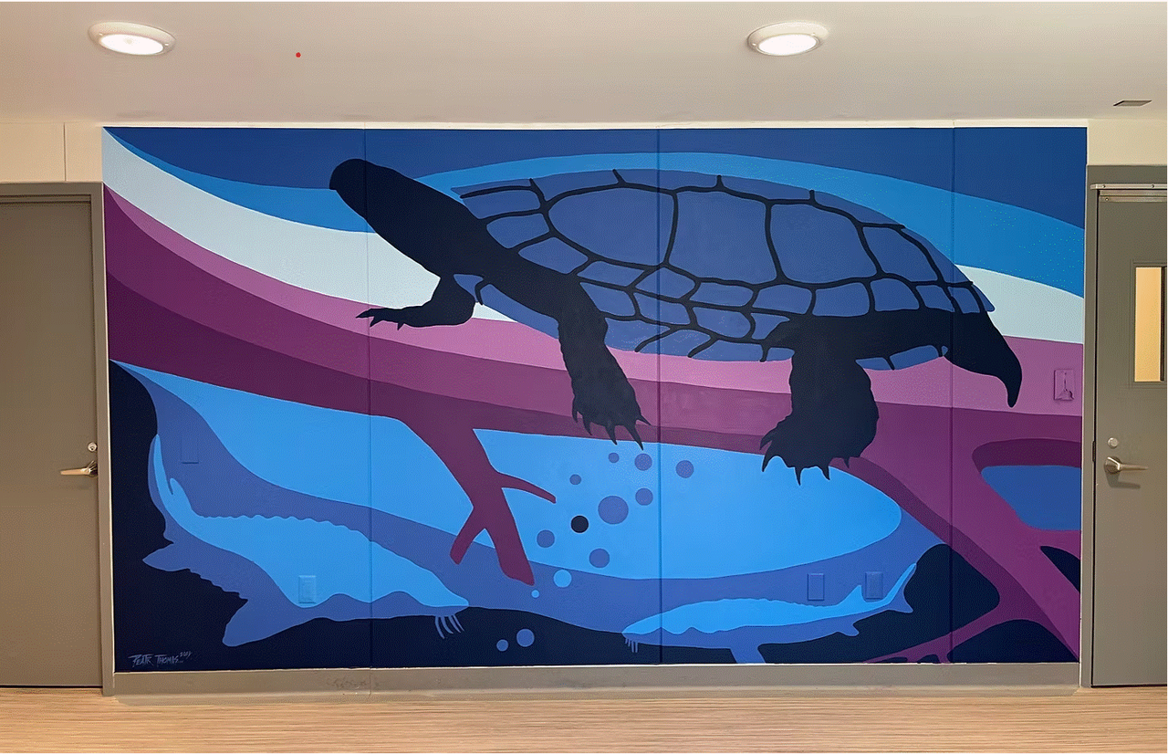 Miskwaadesi Maada ookii Gikendamowin - Turtle Sharing Knowledge on Peatr Thomas Art in Winnipeg