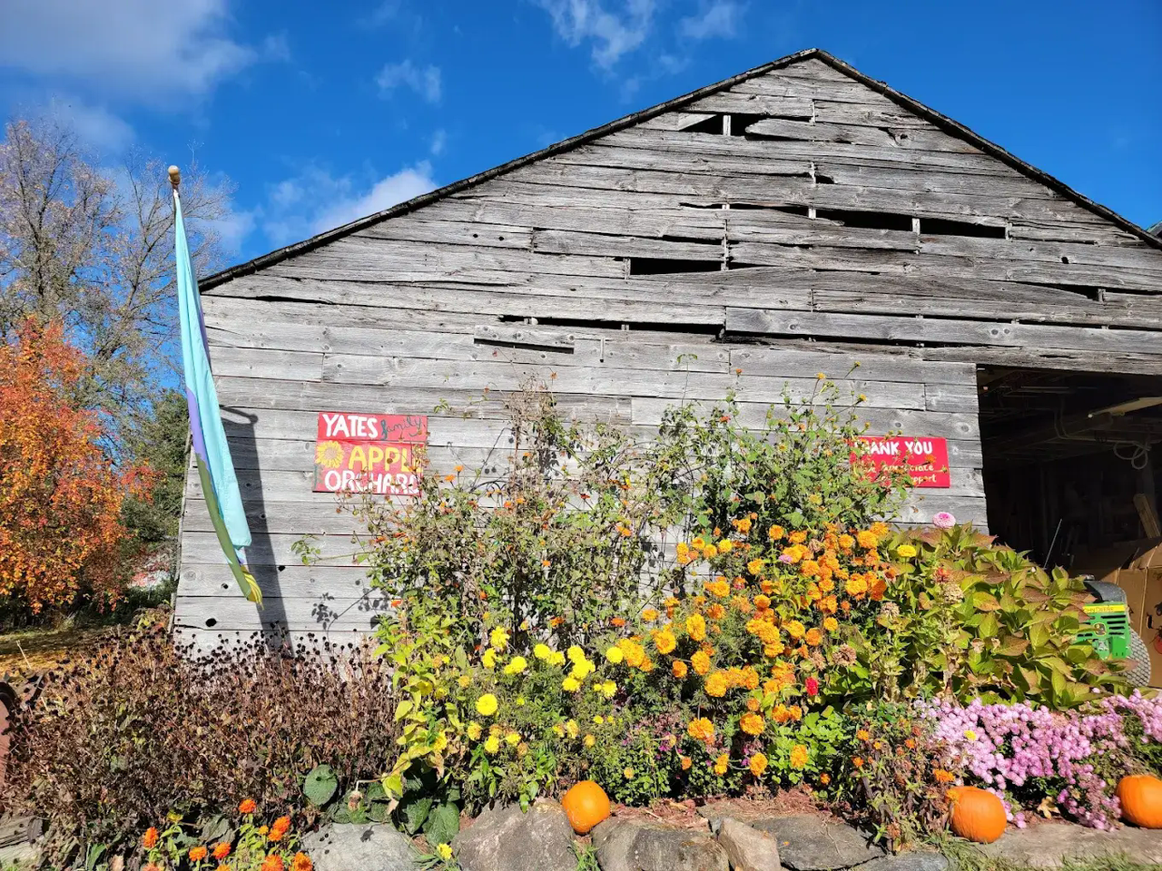 Yates Family Orchard