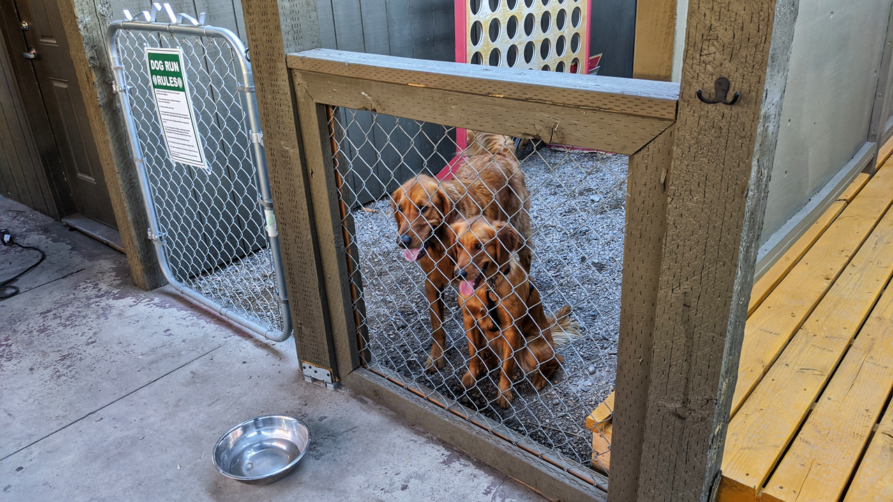 Handle Bar on Dog Friendly Salt Lake City