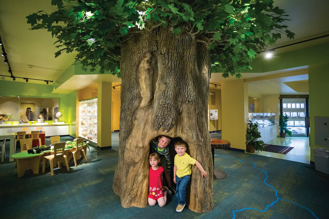 North Museum of Nature and Science