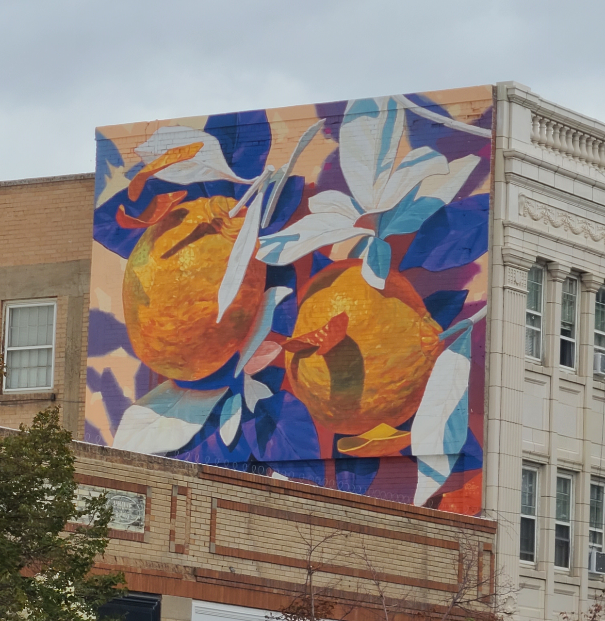 Oranges on Great Falls Downtown Murals