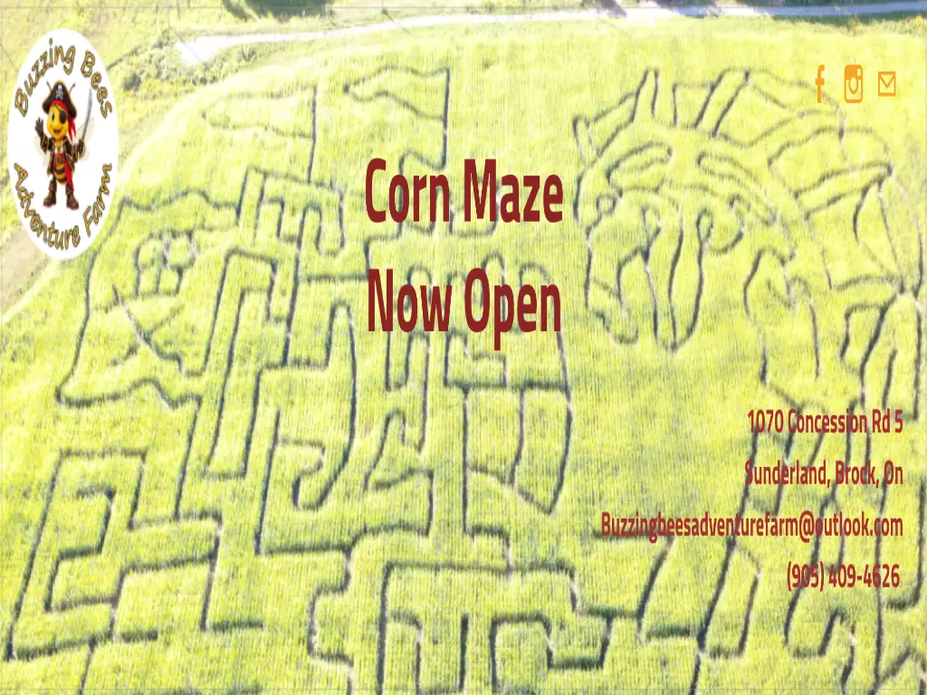 Buzzing Bees Adventure Farm - Corn Maze on It's a Haunted Durham Life!
