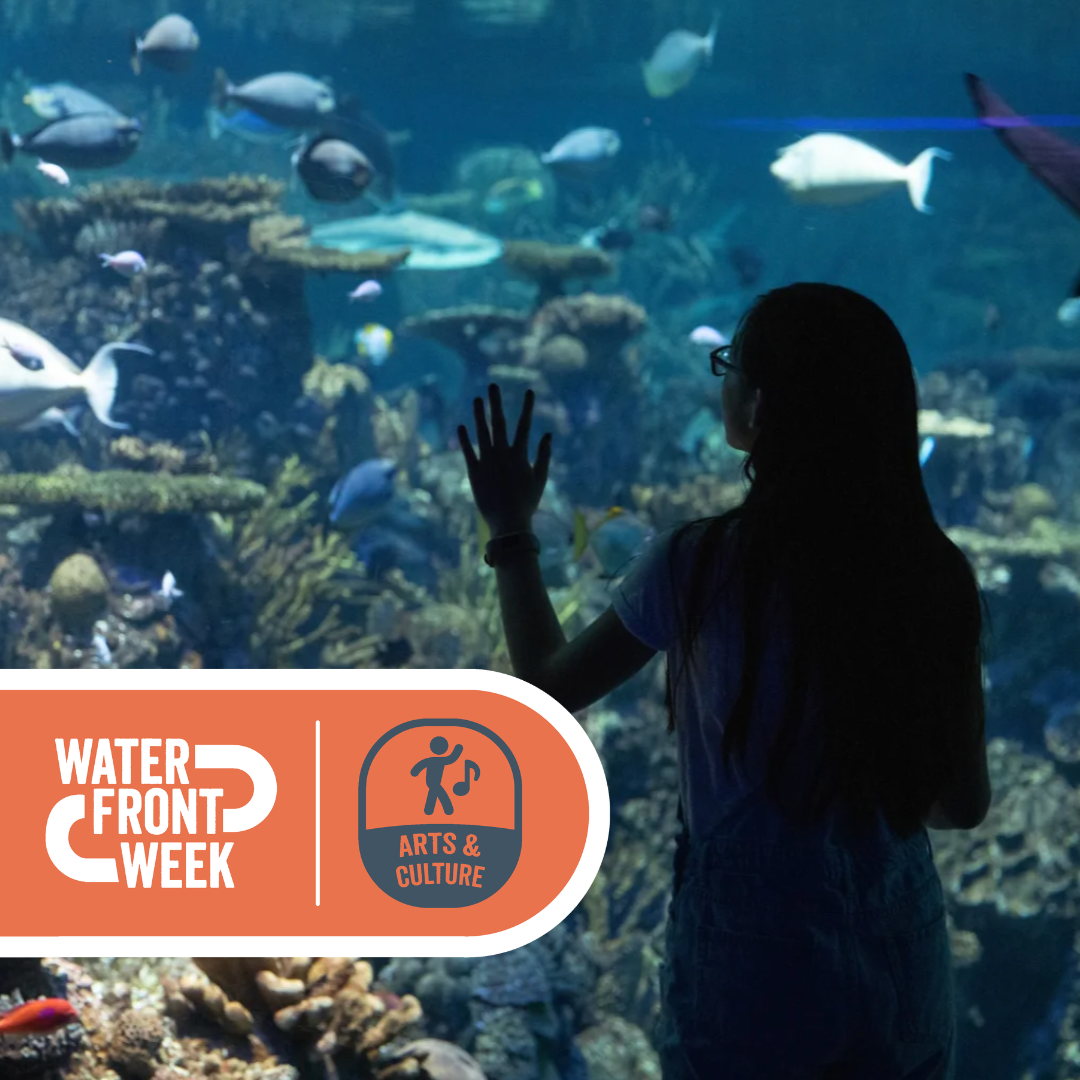 Half Price Friday Night on Waterfront Week: June 5 – June 14