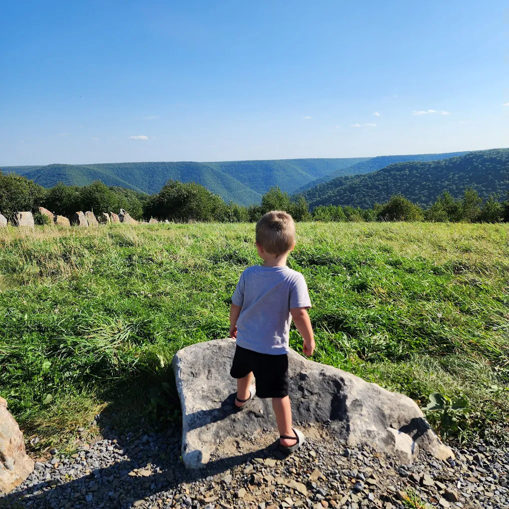 Bucktail Overlook (Top of the World)
