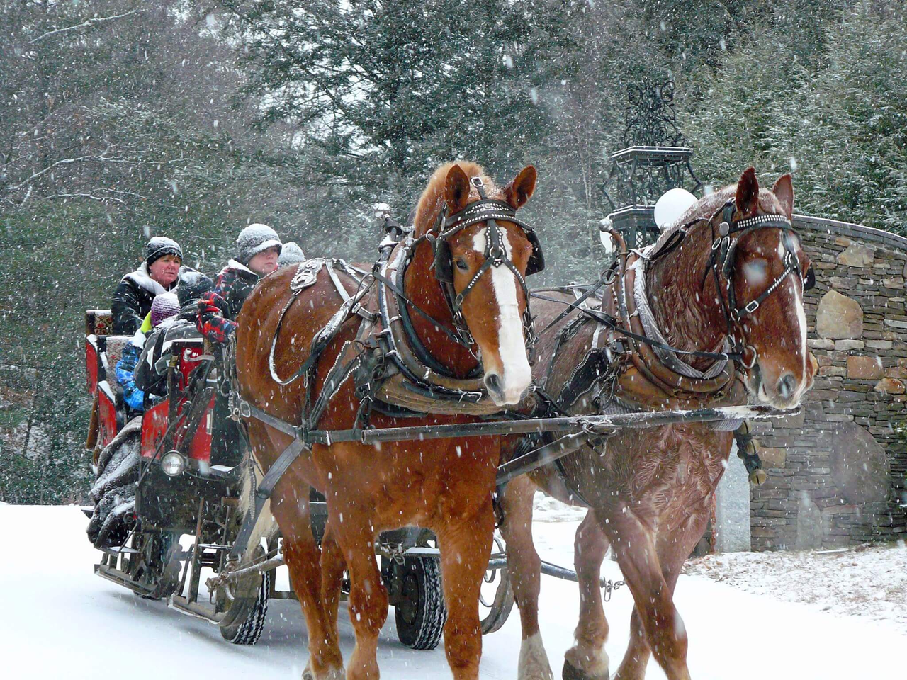 Jingle Bell Chocolate Tour Sleigh Ride