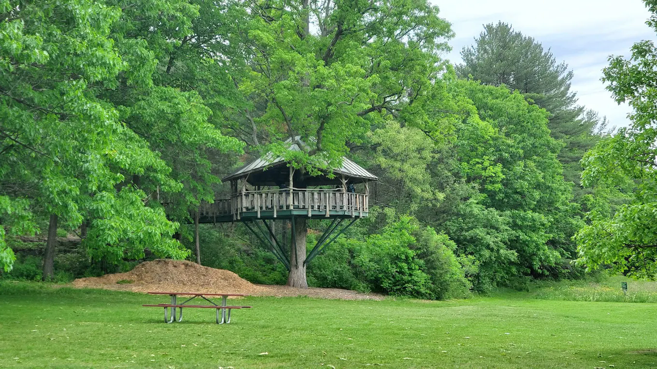 Oakledge Forever Tree Treehouse