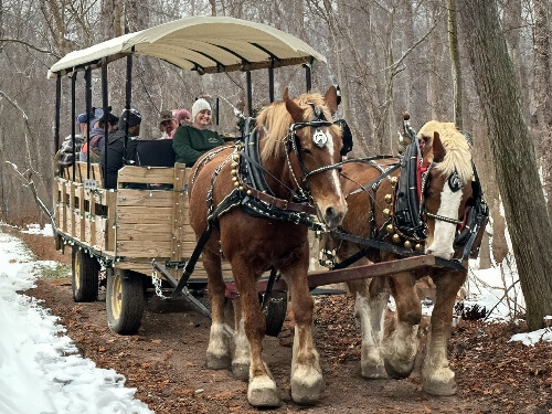 Sleigh Rides at Star Hill Family Farm